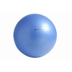 ESFERA 65 CM.
